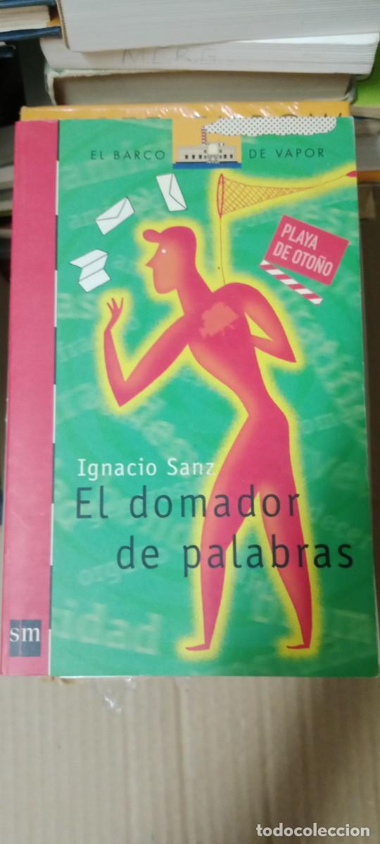 Libros de segunda mano: El domador de palabras: 166 (El Barco de Vapor Roja) Sanz, Ignacio and N&uacute;&ntilde;ez, Pablo LIBRO CC-CE44