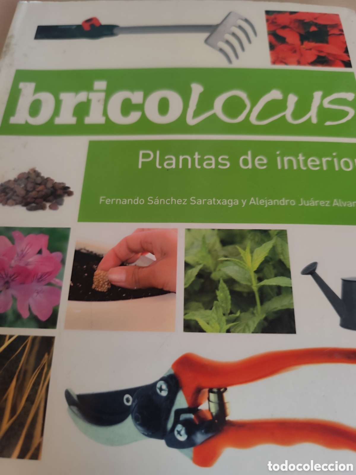 Libri di seconda mano: BRICO LOCUS PLANTAS DE INTERIOR RF361G