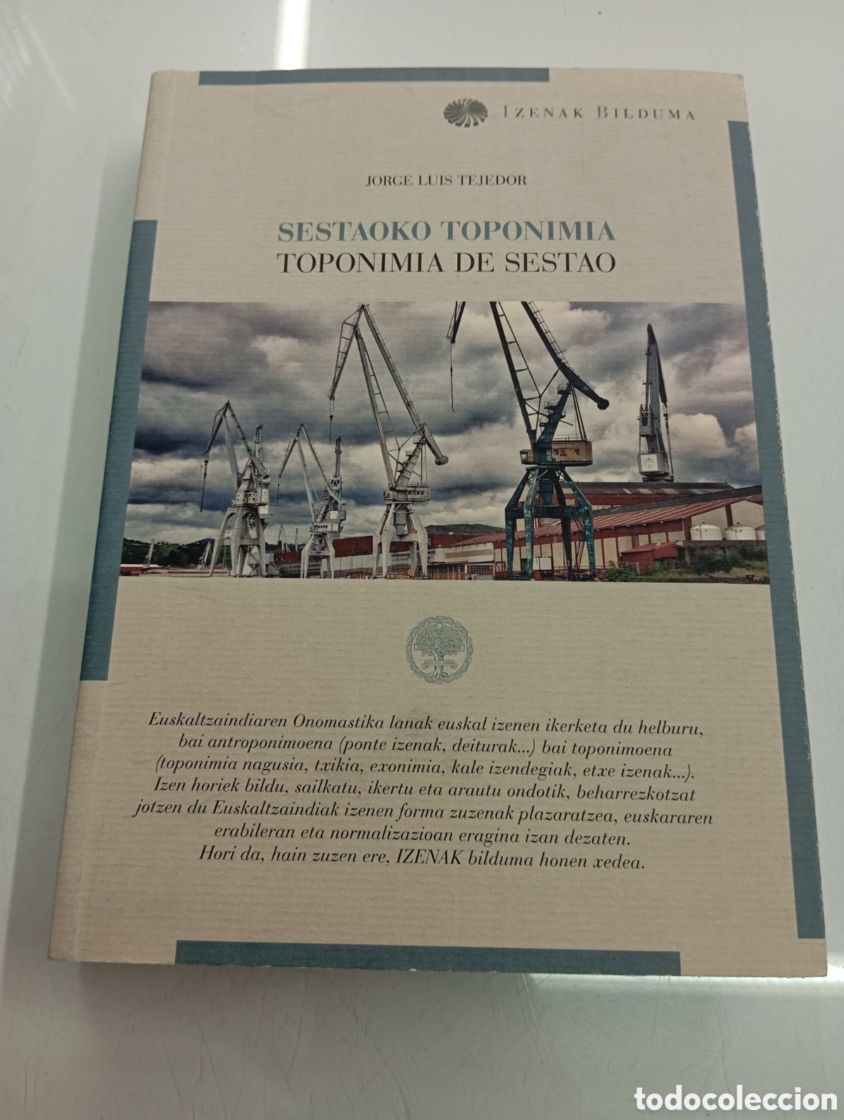 Libros de segunda mano: SESTAOKO TOPONIMIA DE SESTAO JORGE LUIS TEJEDOR ONOMASTICA EUSKALTZAINDIA PAIS VASCO