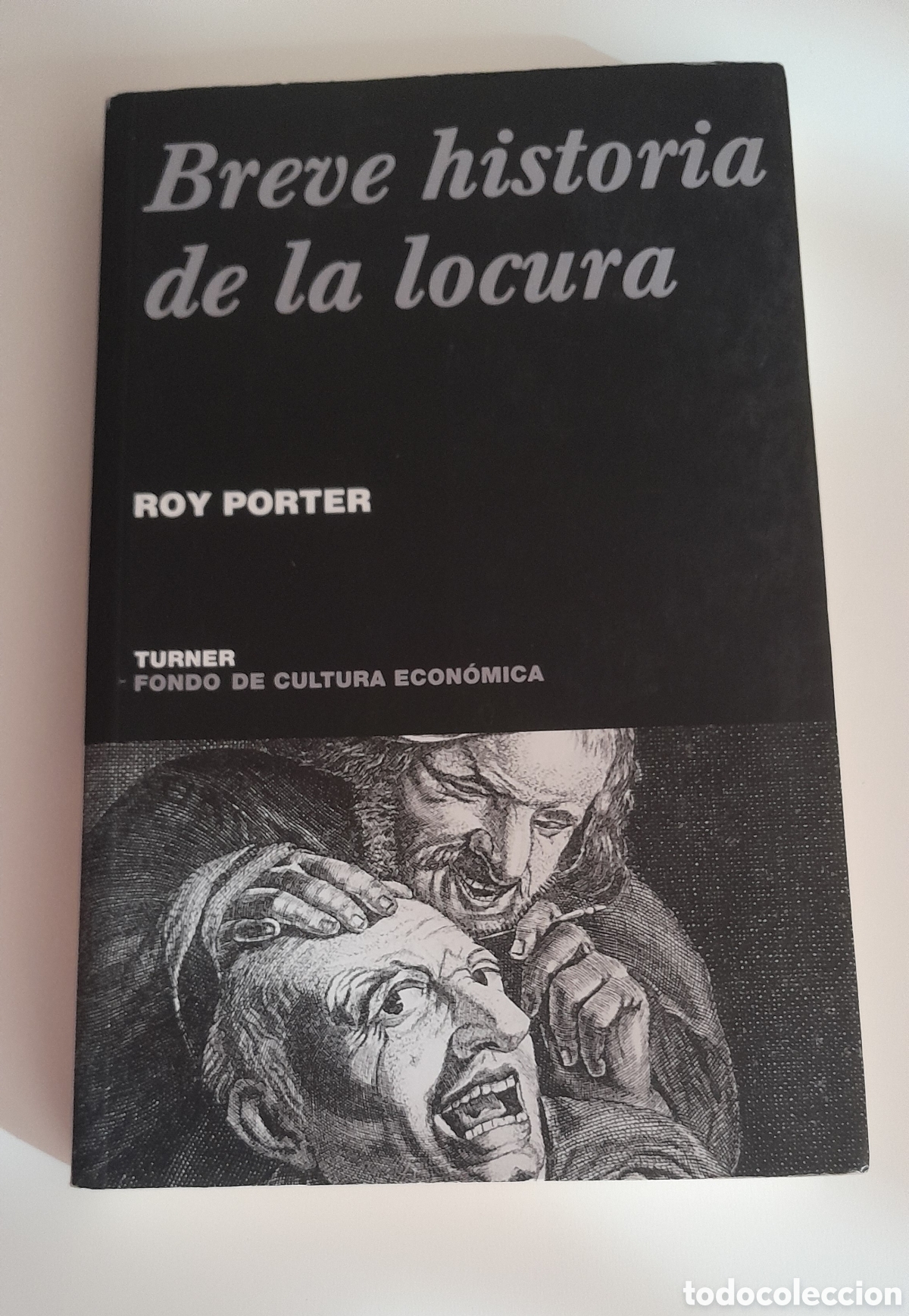 Libros de segunda mano: BREVE HISTORIA DE LA LICURA. ROY PORTER. TURNER