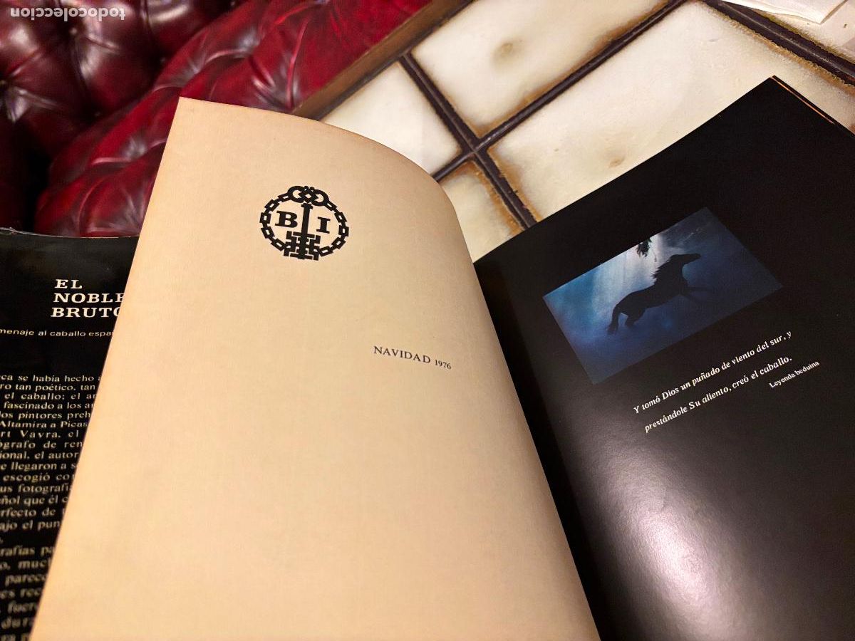 Libros de segunda mano: El noble bruto. Homenaje al caballo espa&ntilde;ol. Robert Vavra. - Foto 3