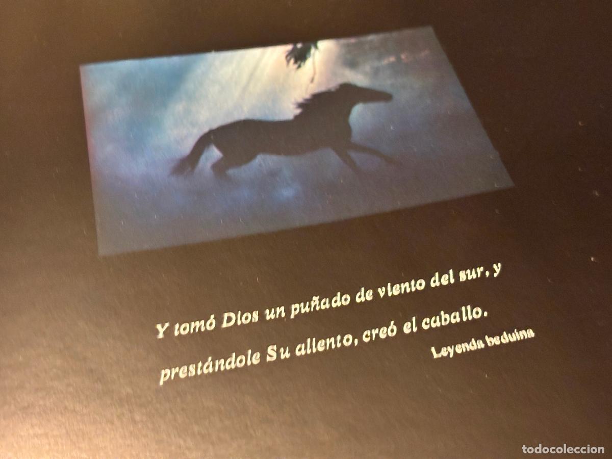 Libros de segunda mano: El noble bruto. Homenaje al caballo espa&ntilde;ol. Robert Vavra. - Foto 4