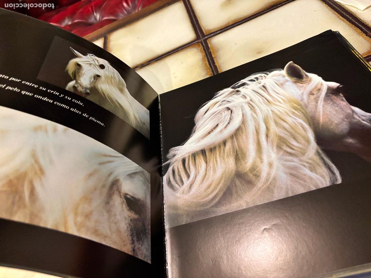 Libros de segunda mano: El noble bruto. Homenaje al caballo espa&ntilde;ol. Robert Vavra. - Foto 5