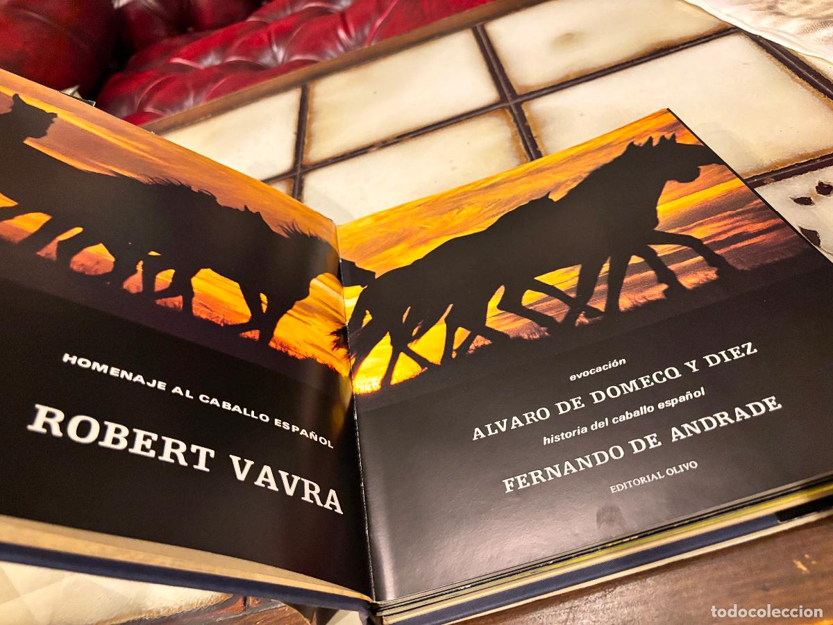 Libros de segunda mano: El noble bruto. Homenaje al caballo espa&ntilde;ol. Robert Vavra. - Foto 8