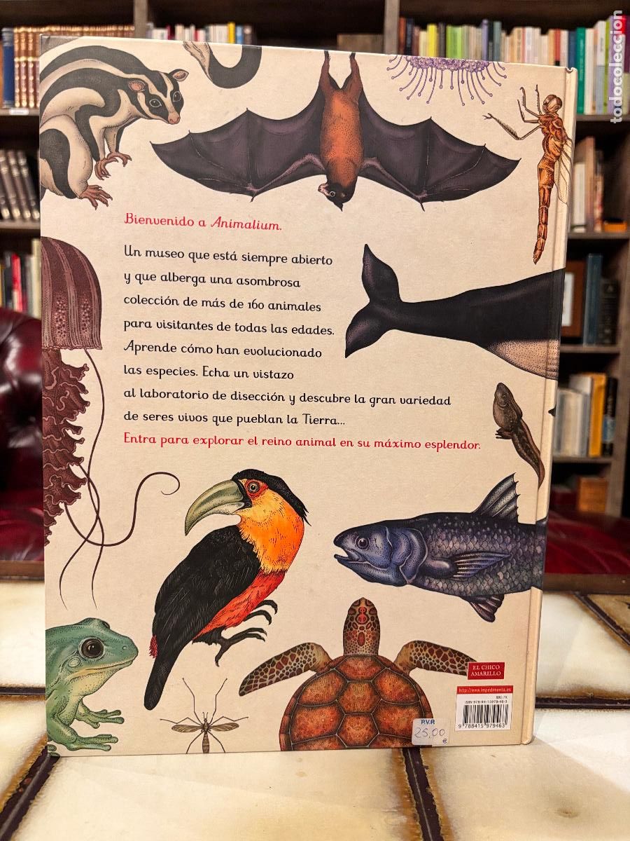 Libros de segunda mano: Animalium. Katie Scott / Jenny Broom. - Foto 2