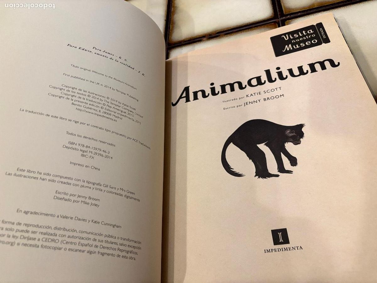 Libros de segunda mano: Animalium. Katie Scott / Jenny Broom. - Foto 3