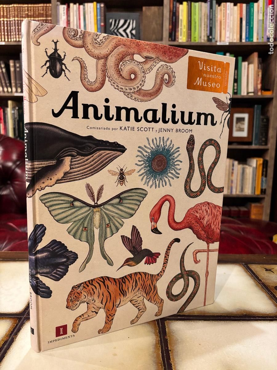Libros de segunda mano: Animalium. Katie Scott / Jenny Broom. - Foto 1