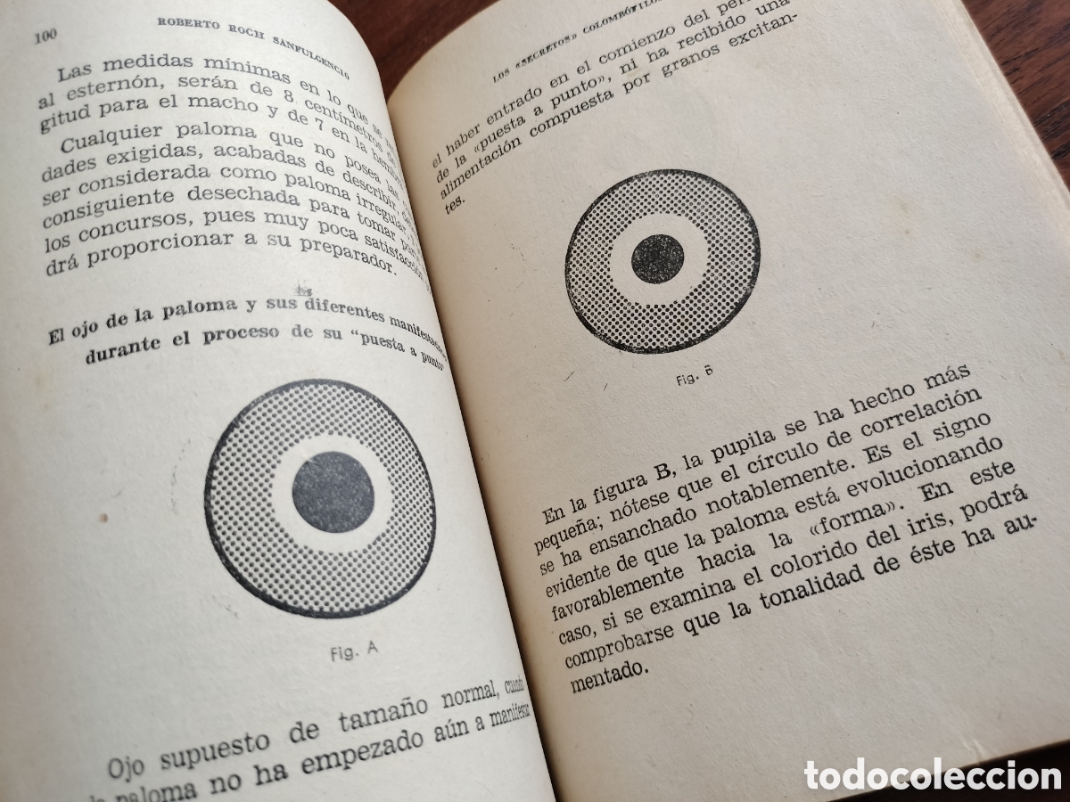 Libros de segunda mano: LOS SECRETOS COLOMB&Oacute;FILOS. ROBERTO ROCH. 1959. - Foto 6