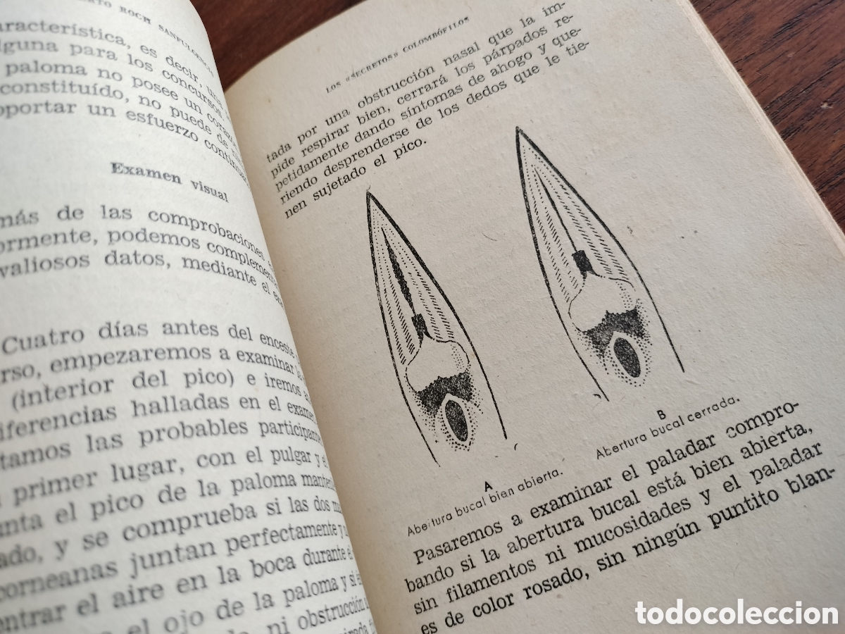 Libros de segunda mano: LOS SECRETOS COLOMB&Oacute;FILOS. ROBERTO ROCH. 1959. - Foto 7