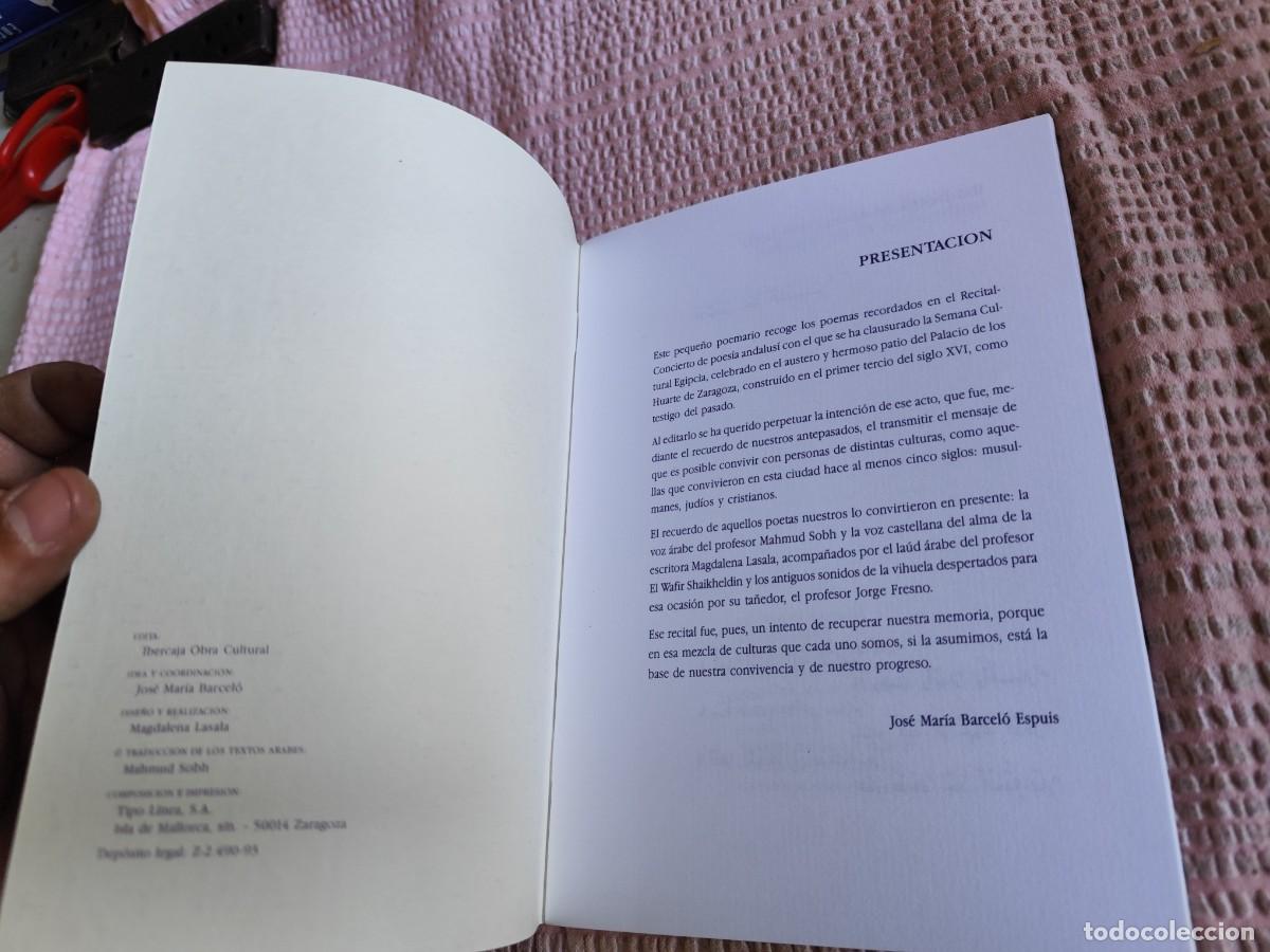 Libros de segunda mano: SEMANA CULTURAL EGIPCIA / / EVA 244 - Foto 3