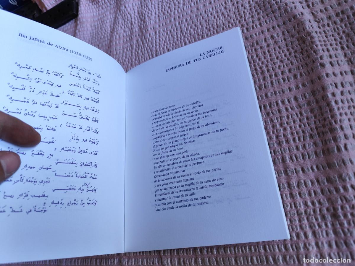Libros de segunda mano: SEMANA CULTURAL EGIPCIA / / EVA 244 - Foto 6