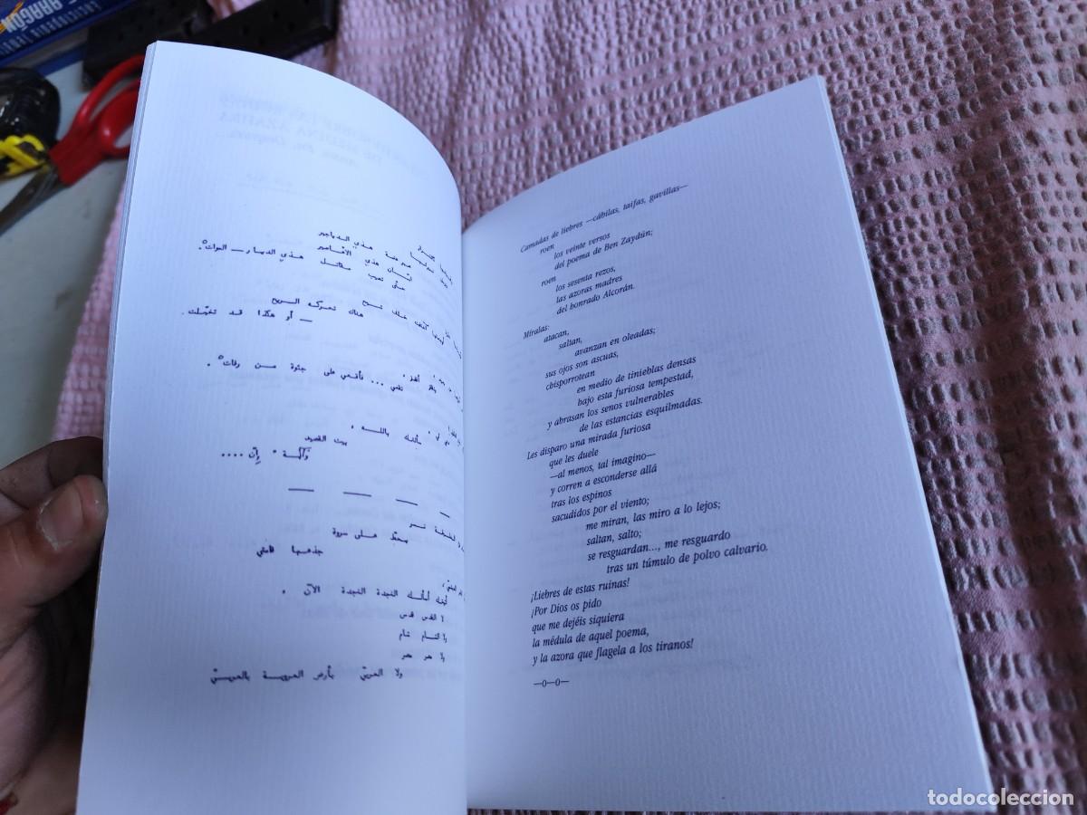 Libros de segunda mano: SEMANA CULTURAL EGIPCIA / / EVA 244 - Foto 7