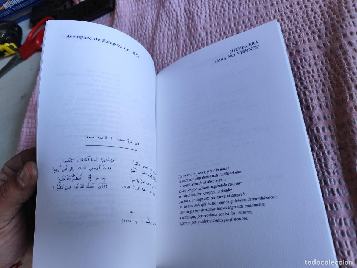 Libros de segunda mano: SEMANA CULTURAL EGIPCIA / / EVA 244 - Foto 8