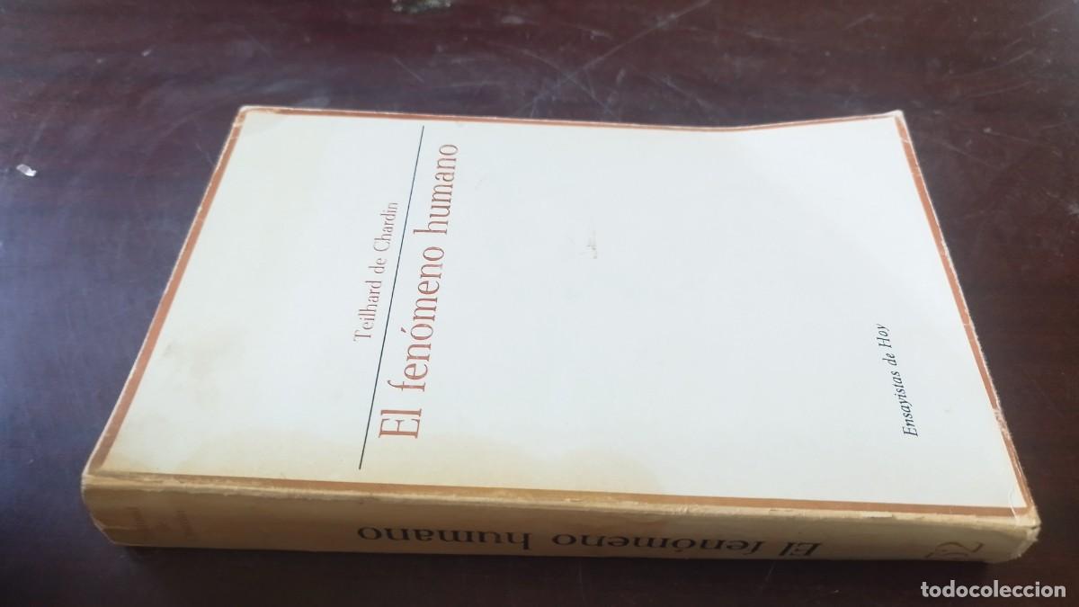 Libros de segunda mano: EL FEN&Oacute;MENO HUMANO / TEILHARD DE CHARDIN / CJA 608 / TAURUS