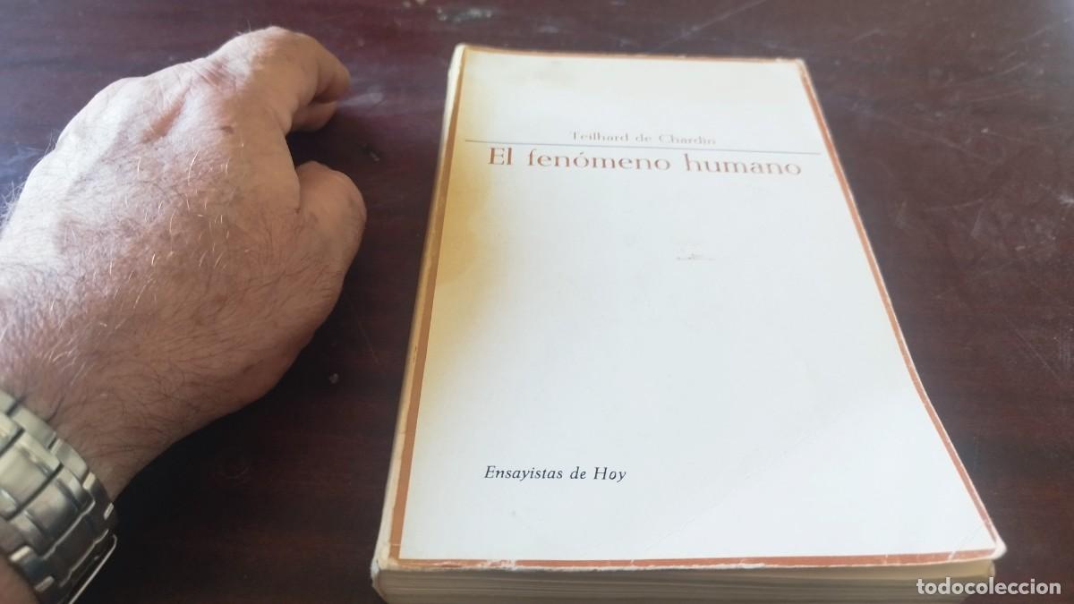 Libros de segunda mano: EL FEN&Oacute;MENO HUMANO / TEILHARD DE CHARDIN / CJA 608 / TAURUS - Foto 3