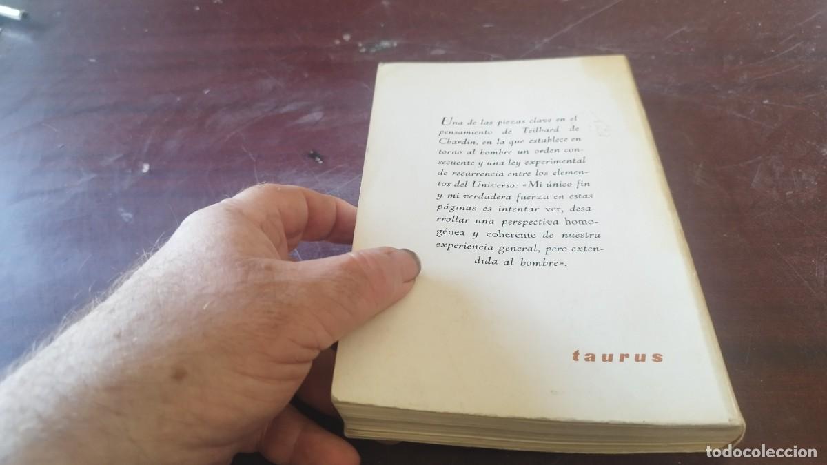 Libros de segunda mano: EL FEN&Oacute;MENO HUMANO / TEILHARD DE CHARDIN / CJA 608 / TAURUS - Foto 4