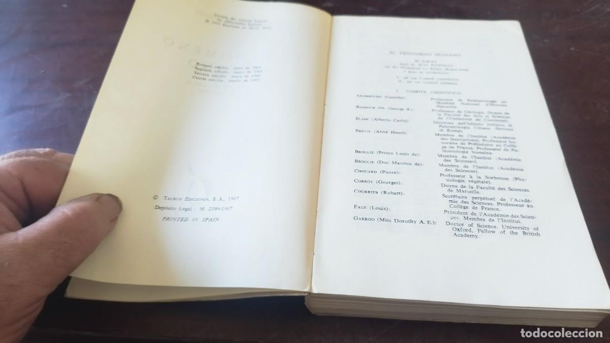 Libros de segunda mano: EL FEN&Oacute;MENO HUMANO / TEILHARD DE CHARDIN / CJA 608 / TAURUS - Foto 11