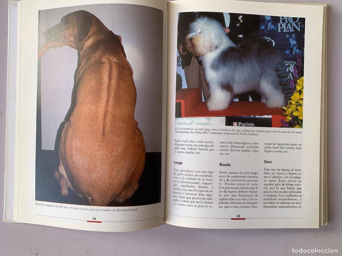 Libros de segunda mano: Peluquer&iacute;a Canina (Bols 41) - Foto 2
