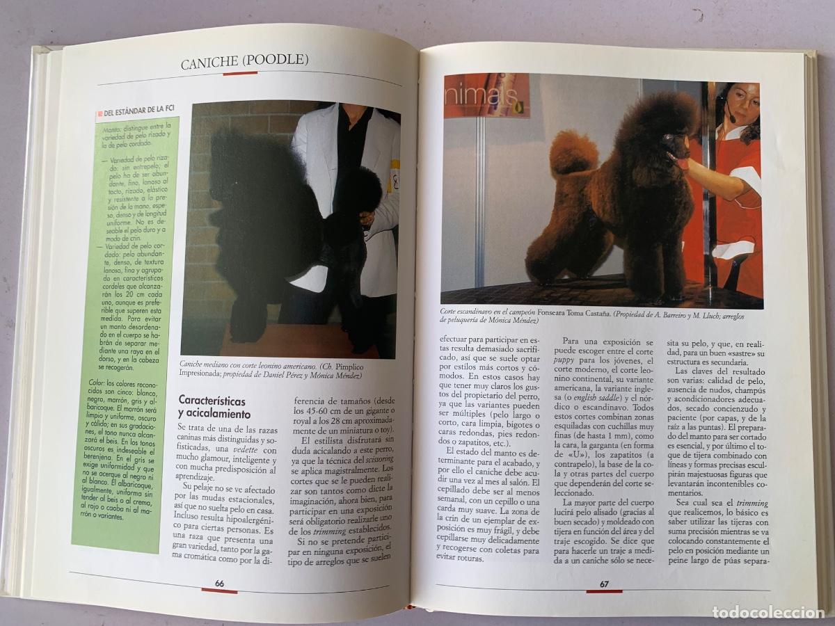 Libros de segunda mano: Peluquer&iacute;a Canina (Bols 41) - Foto 3