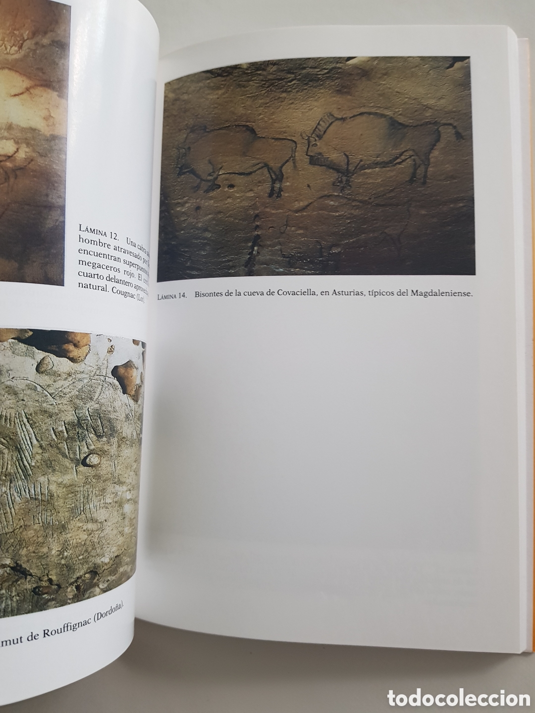 Libros de segunda mano: Los Chamanes de la Prehistoria - Jean Clottes / David Lewis-Williams - Foto 4