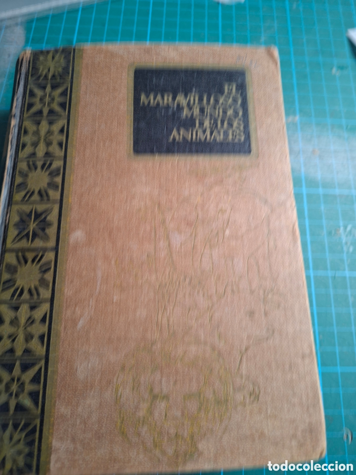 Libros de segunda mano: EL MARAVILLOSO MUNDO DR LOS ANIMALES
