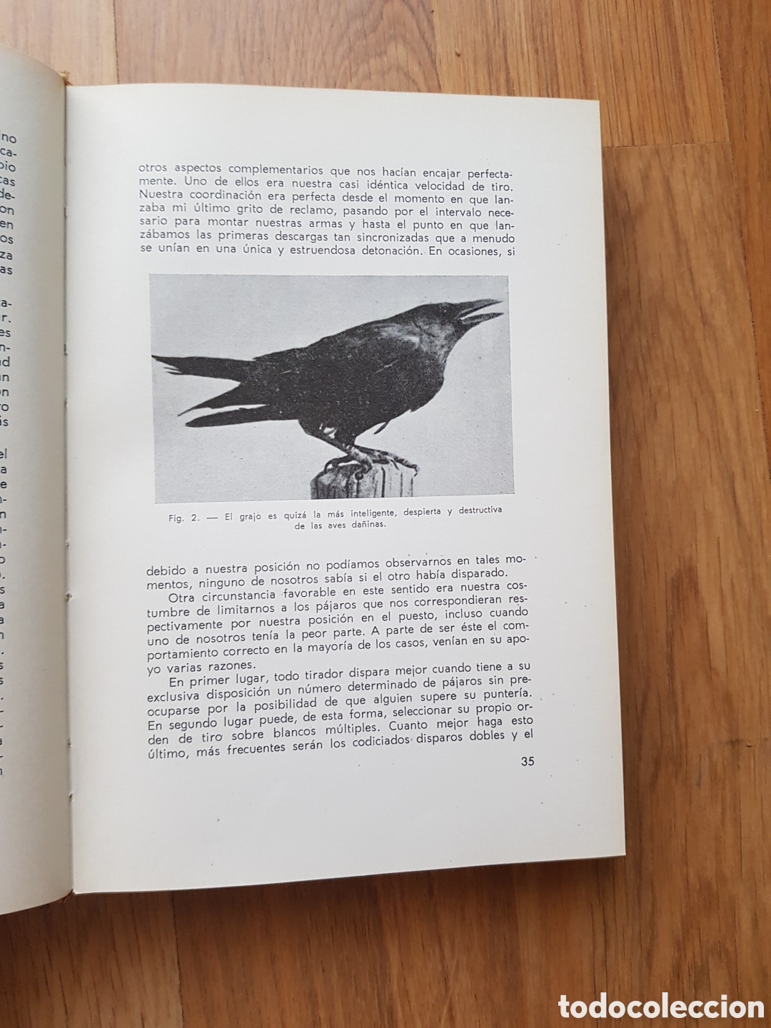 Libros de segunda mano: MANUAL DEL CAZADOR DE ALIMA&Ntilde;AS Y GRAJOS- BERT POPOWSKI - Foto 5