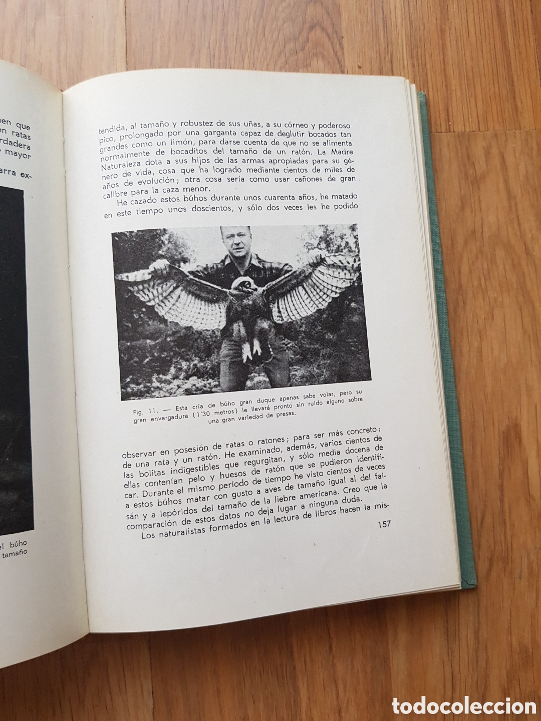 Libros de segunda mano: MANUAL DEL CAZADOR DE ALIMA&Ntilde;AS Y GRAJOS- BERT POPOWSKI - Foto 6