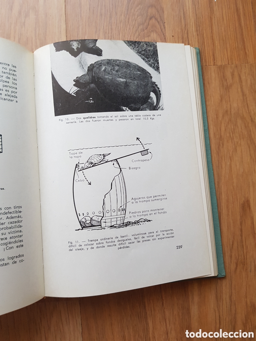 Libros de segunda mano: MANUAL DEL CAZADOR DE ALIMA&Ntilde;AS Y GRAJOS- BERT POPOWSKI - Foto 7