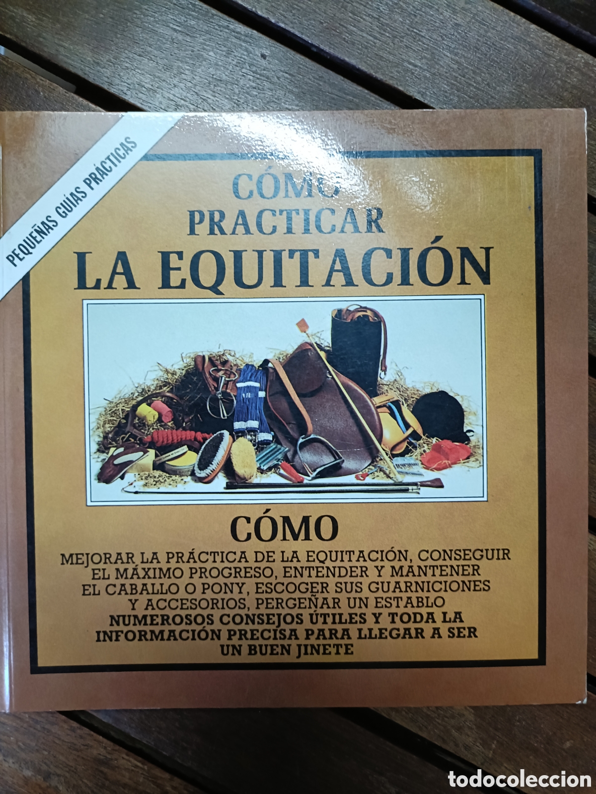 Libros de segunda mano: C&oacute;mo practicar la equitaci&oacute;n, peque&ntilde;as gu&iacute;as pr&aacute;cticas. Editorial Blume, primera edici&oacute;n 1981