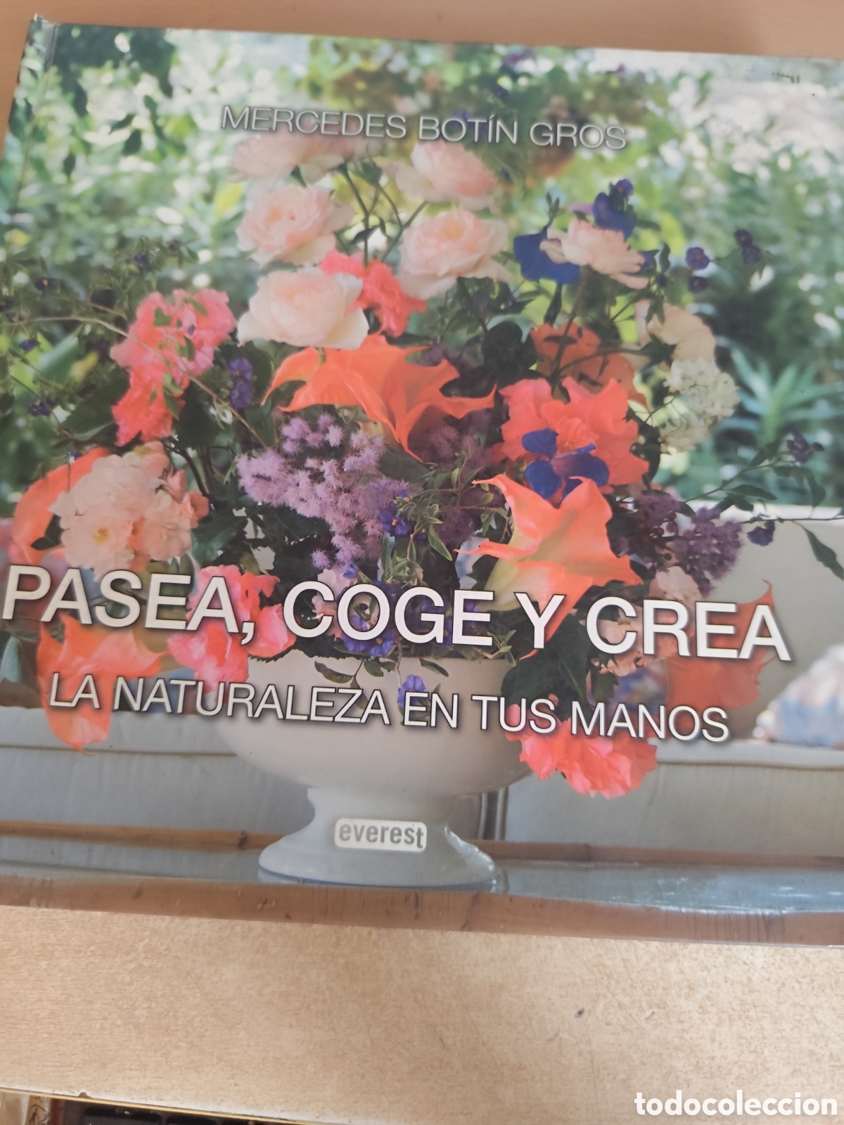 Libri di seconda mano: PASEA COGE Y CREA RF 268G MERCEDES BOTIN GROS