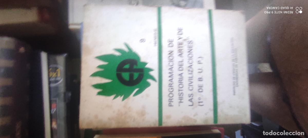 Libros de segunda mano: PROGRAMACION DE.HISTORIA DEL ARTE Y DE LAS CIVILIZACIONES.1&ordm; DE B.U.P.GRUPO TREMEDAL