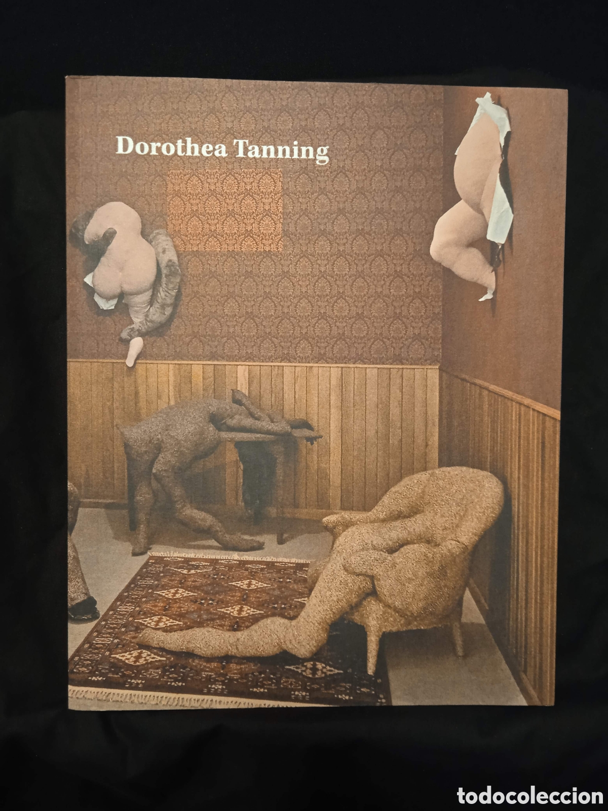 Libros de segunda mano: DOROTHEA TANNING DETR&Aacute;S DE LA PUERTA, INVISIBLE, OTRA PUERTA - CAT&Aacute;LOGO EXPO REINA SOF&Iacute;A 2018 #K8
