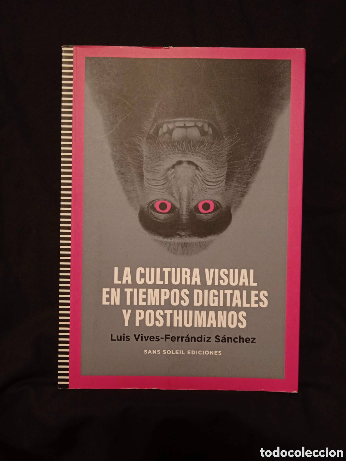 Libros de segunda mano: LA CULTURA VISUAL EN TIEMPOS DIGITALES Y POTHUMANOS - LUIS VIVES-FERRANDIZ S&Aacute;NCHEZ - SANS SOLEIL