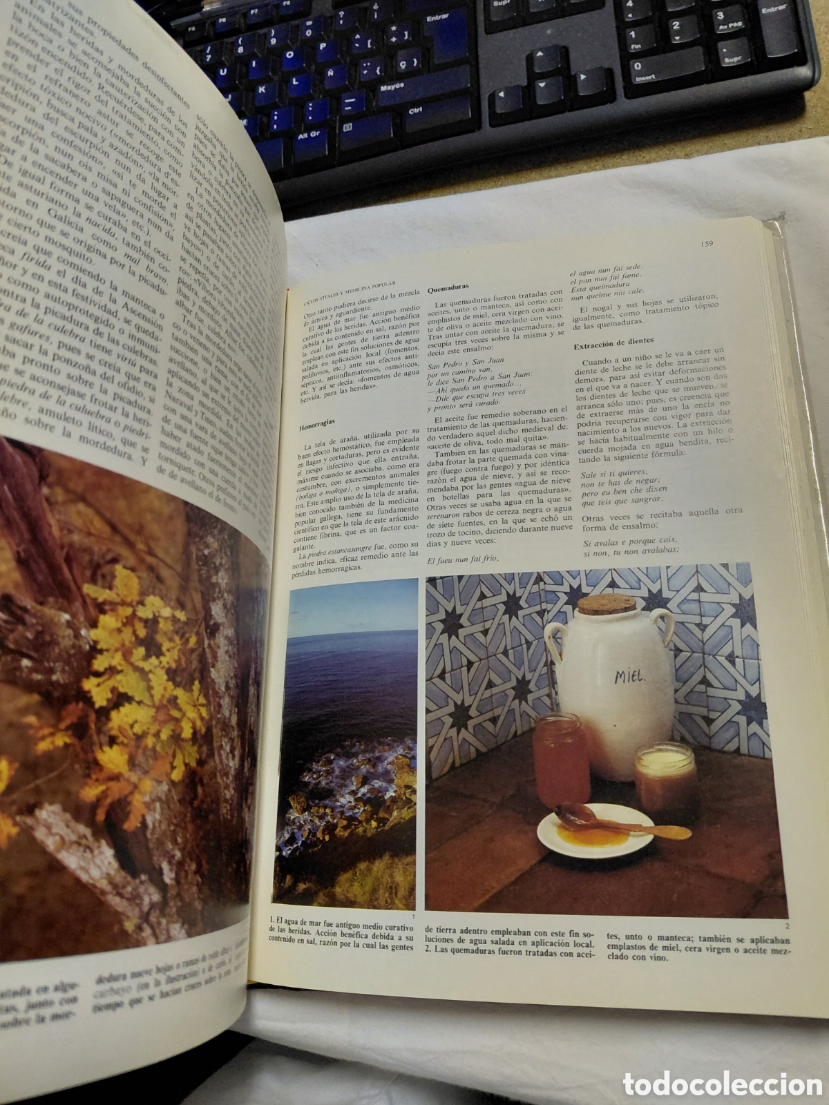 Libros de segunda mano: FOLKLORE .JAVIER RODRIGUEZ MU&Ntilde;OZ Y OTROS.EDICIONES JUCAR 1981 - Foto 7