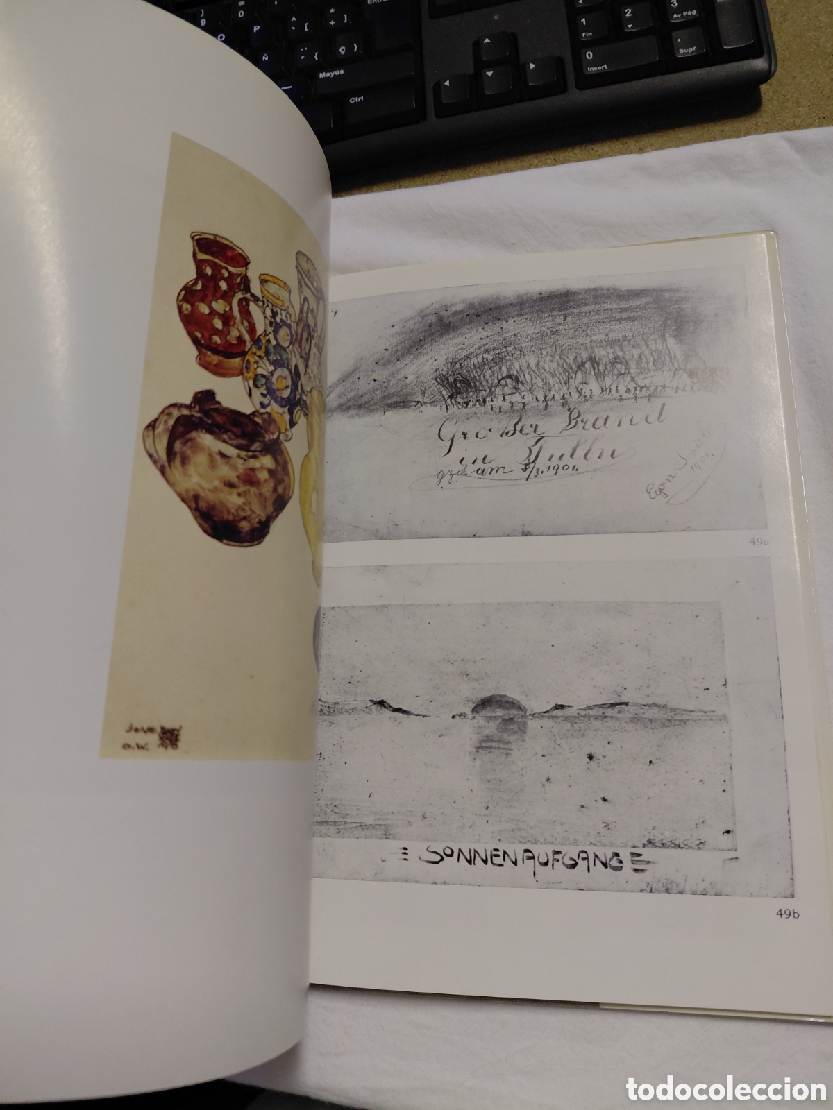 Libros de segunda mano: EGON SCHIELE.ALESSANDRA COMINI.1976 - Foto 7
