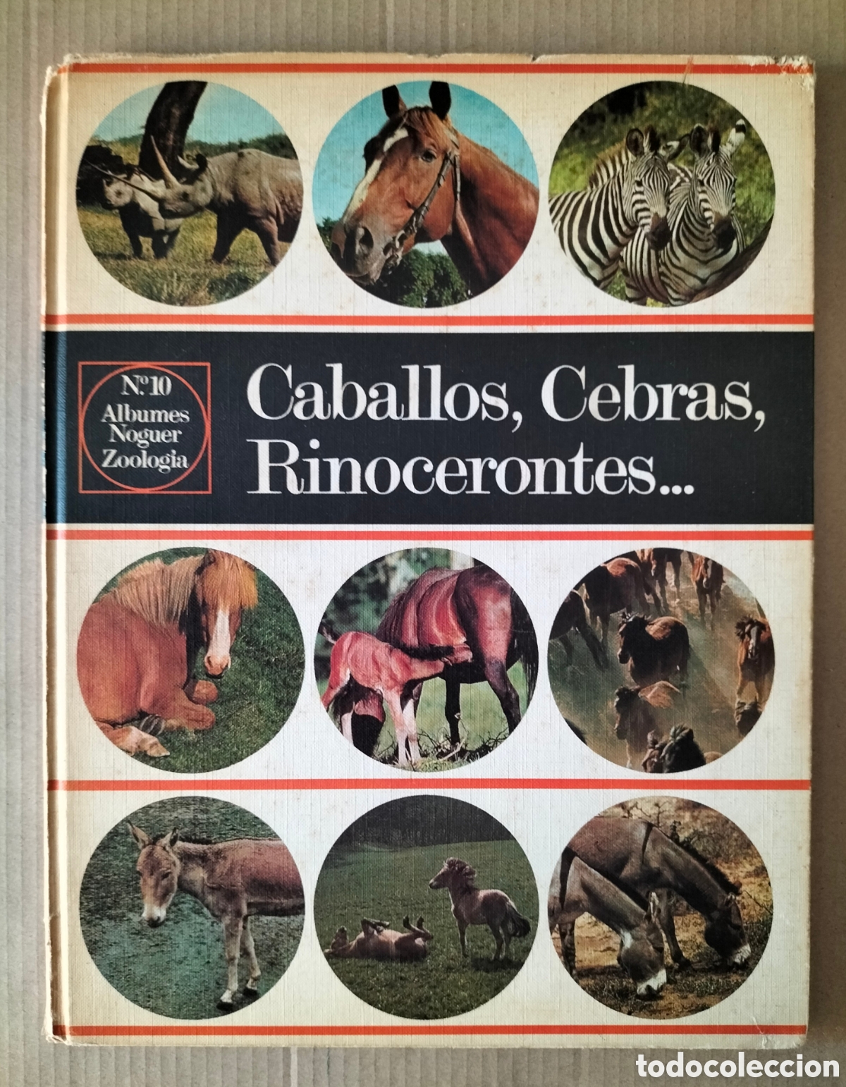 Libros de segunda mano: Caballos, cebras, rinocerontes... &Aacute;lbumes Noguer zoolog&iacute;a n&deg; 10. Editorial noguer, 1973. Libro