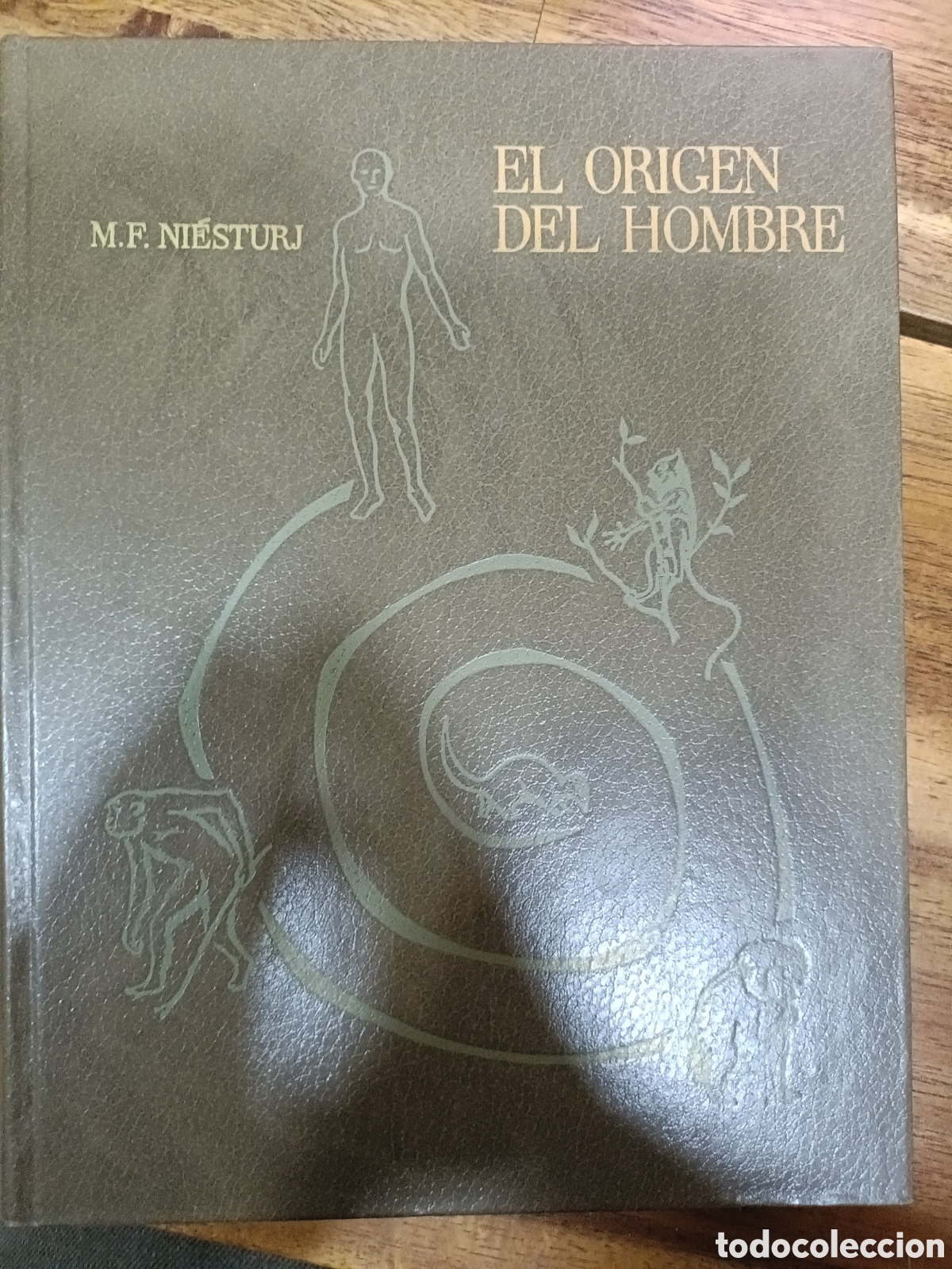 Libros de segunda mano: El origen del hombre, M. F. Ni&eacute;sturj, Editorial Mir, 1984 (3&ordf; edici&oacute;n), Divulgaci&oacute;n cient&iacute;fica