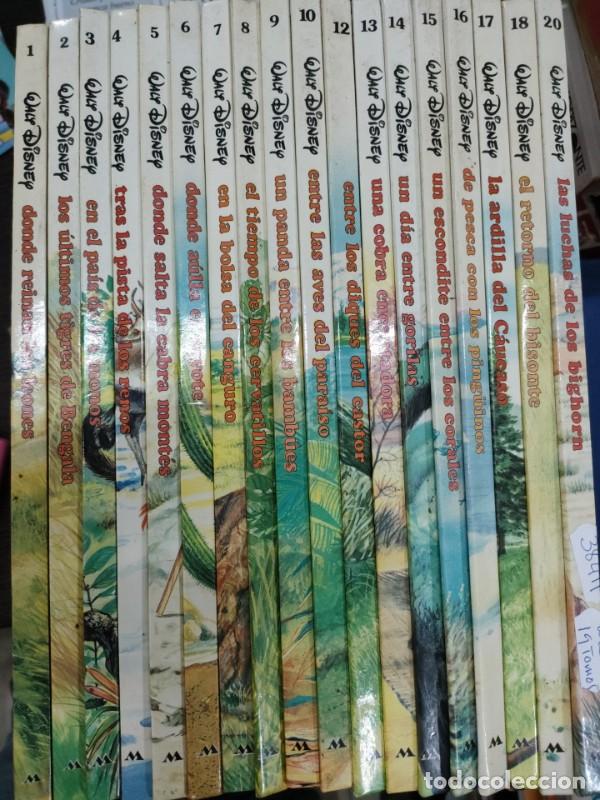 Libros de segunda mano: Aventuras de los J&oacute;venes Castores (19 de 24 Tomos) - A. Sotelo Morillo/Walt Disney - Montena/Mondib&eacute;
