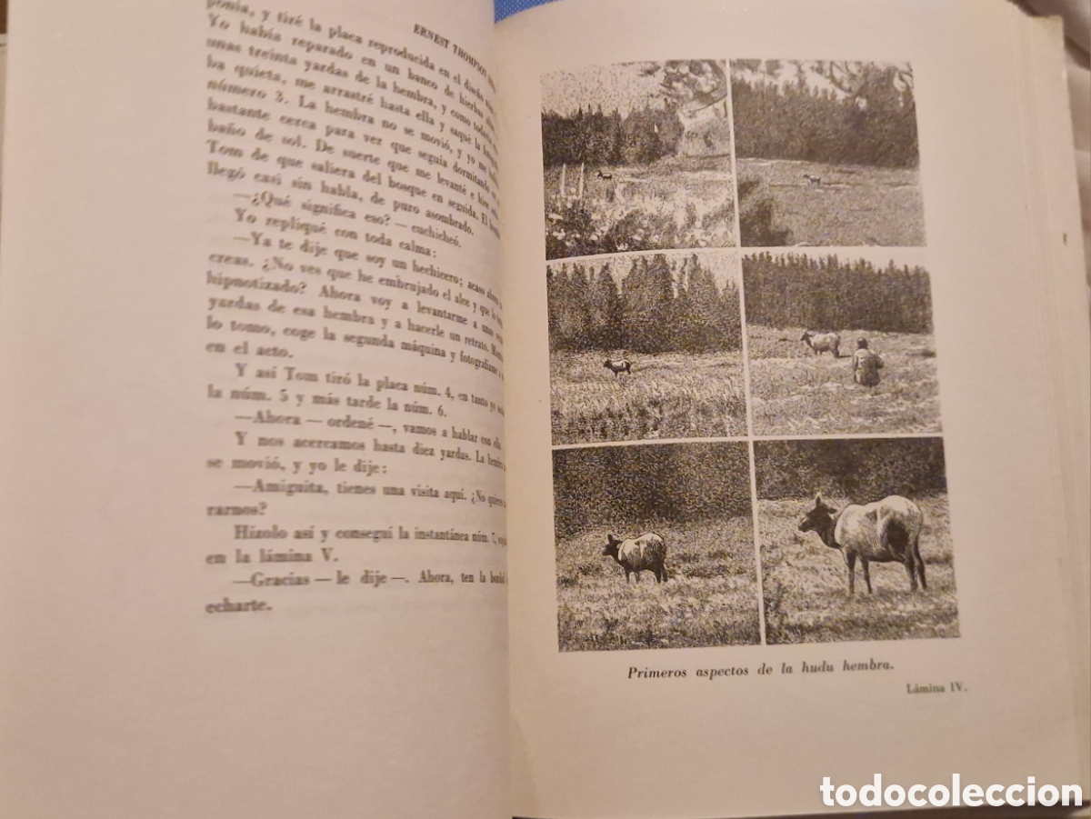 Libros de segunda mano: Animales salvajes en libertad. - Foto 2
