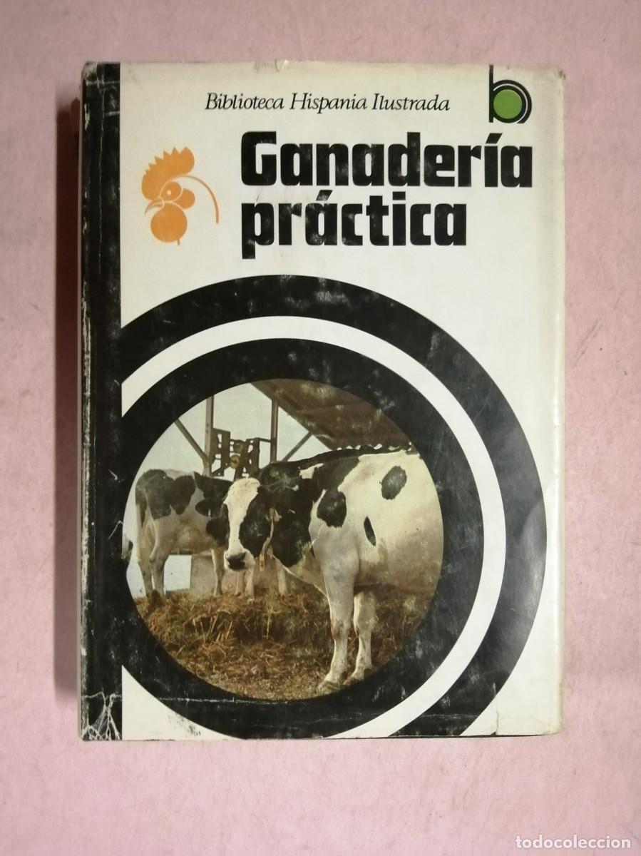 Libros de segunda mano: GANADERIA PRACTICA (BIBLIOTECA HISPANIA ILUSTRADA)