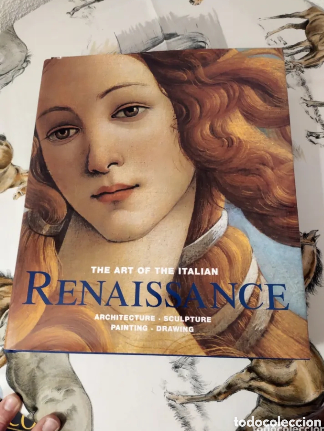 Libros de segunda mano: &rdquo;The Art of the Italian Renaissance &rdquo;1995