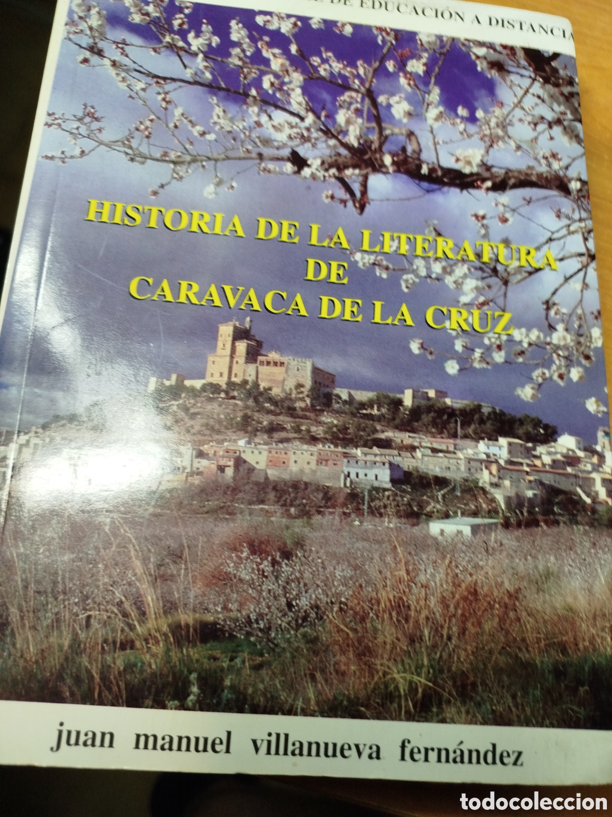Libros de segunda mano: Historia de la literatura de Caravaca de la Cruz. Juan Manuel Villanueva Fern&aacute;ndez. Murcia