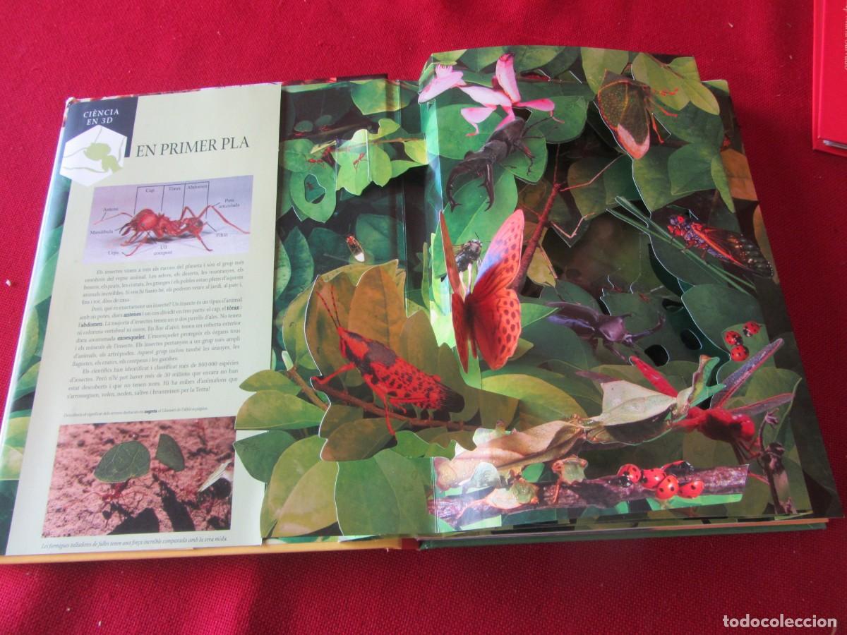 Libros de segunda mano: INSECTES. CI&Egrave;NCIA EN 3D. ED. COMBEL. 2010. HOJAS DESPLEGABLES - Foto 2