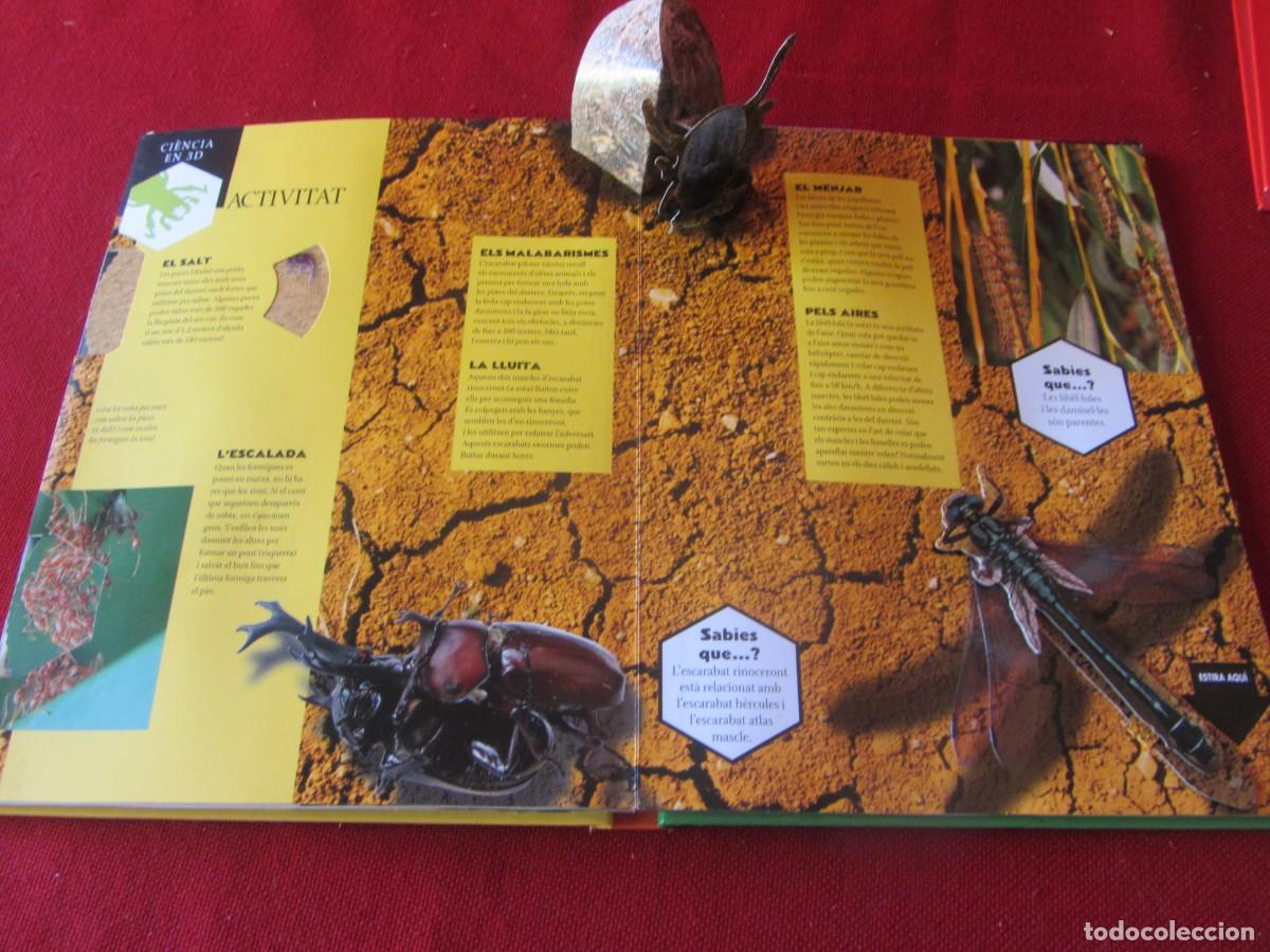Libros de segunda mano: INSECTES. CI&Egrave;NCIA EN 3D. ED. COMBEL. 2010. HOJAS DESPLEGABLES - Foto 3