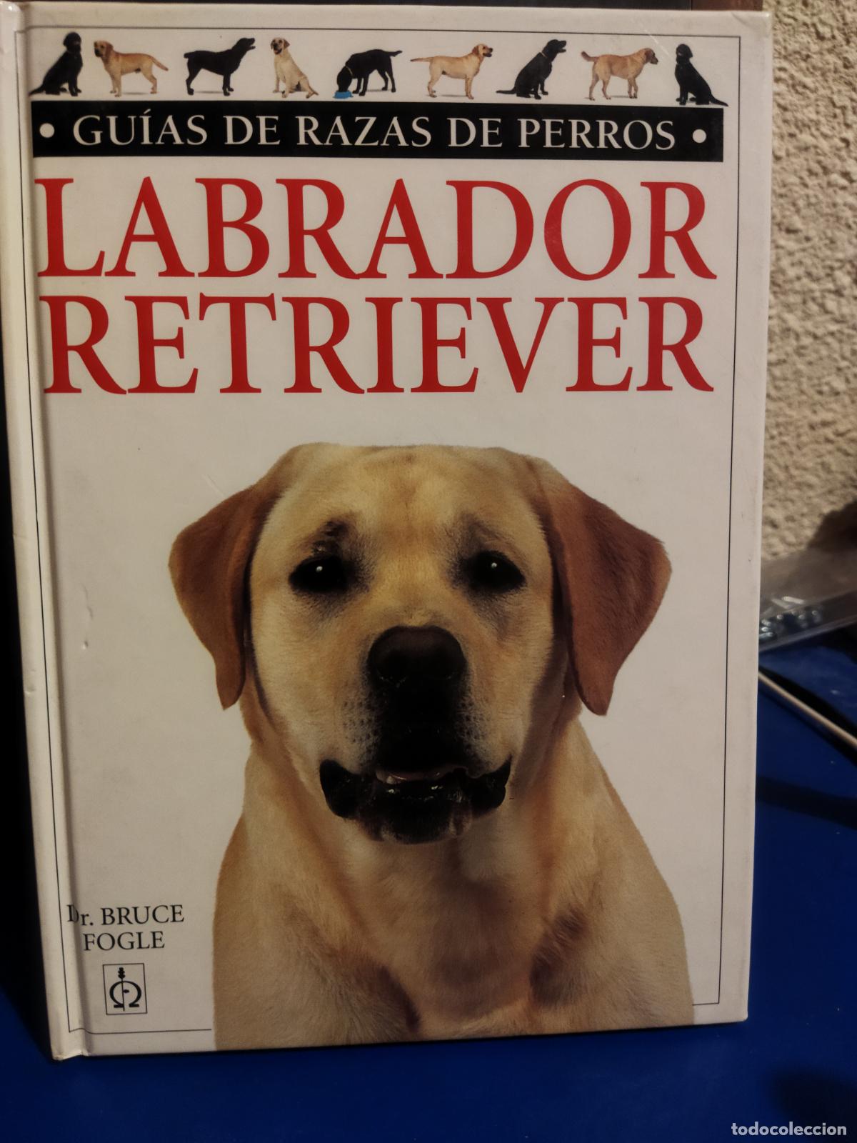 Libros de segunda mano: Labrador Retriever Bruce Fogleo