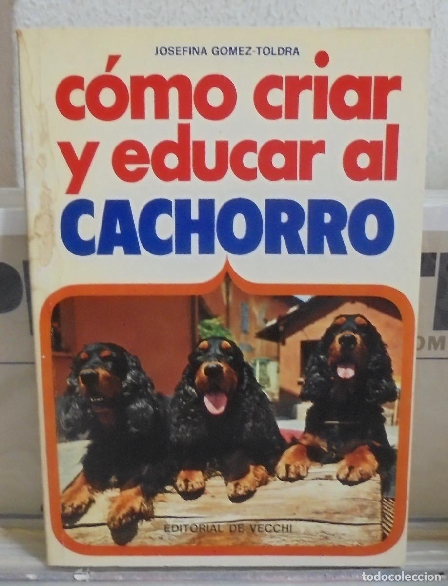 Libros de segunda mano: C&oacute;mo criar y educar al cachorro. Josefina G&oacute;mez-Toldra - Foto 1