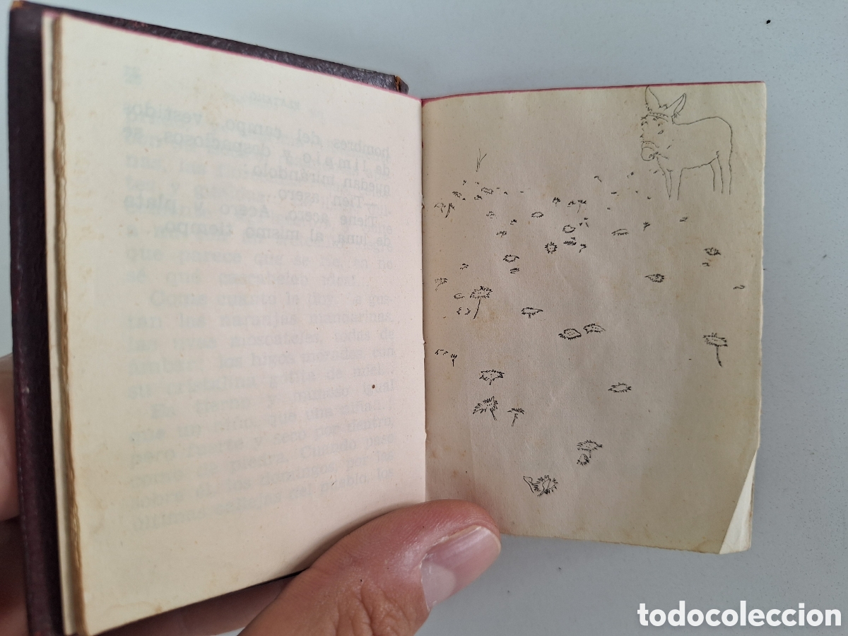 Libros de segunda mano: Crisolin Platero y yo, Juan Ramon Jimenez - Foto 11