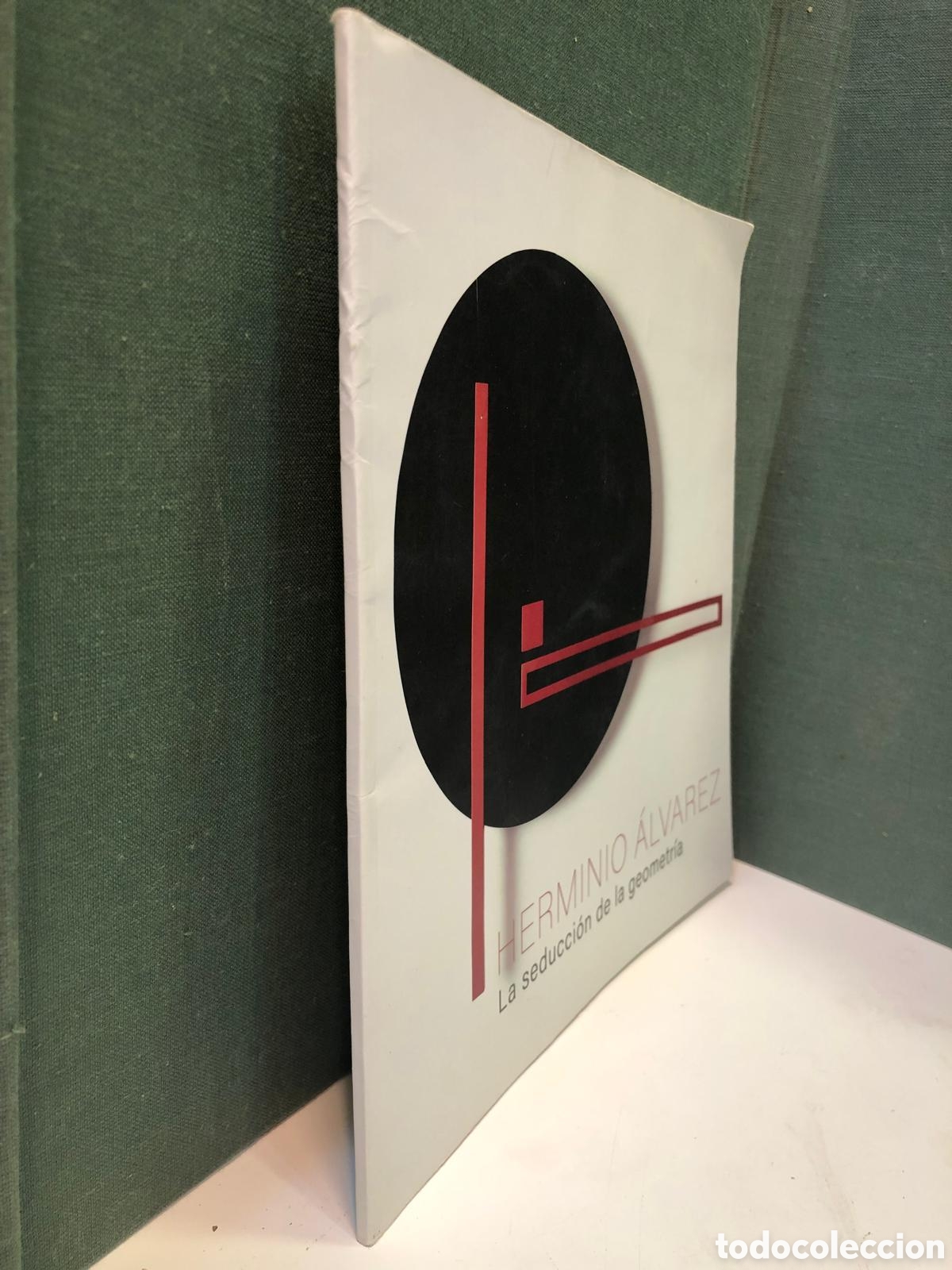 Libros de segunda mano: La seduccion de la geometr&iacute;a - Herminio &Aacute;lvarez - Foto 1
