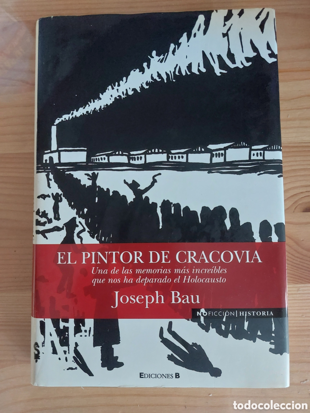 Libros de segunda mano: El pintor de Cracovia