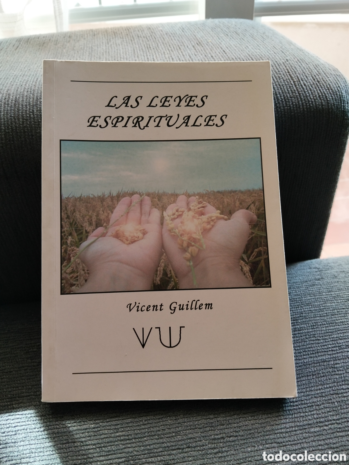 Libros de segunda mano: Vicent Guillem - Las leyes espirituales - 2009 - Foto 1